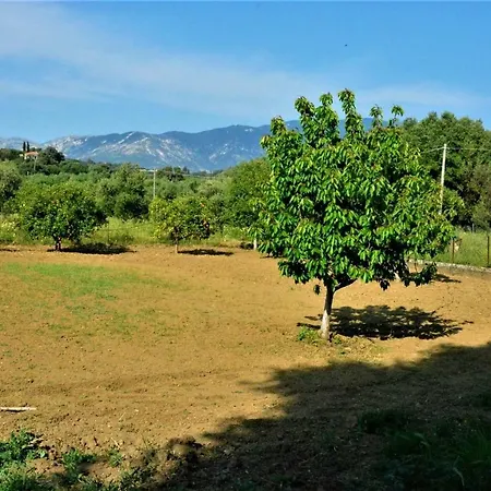 Jenny's House Casa vacanze
